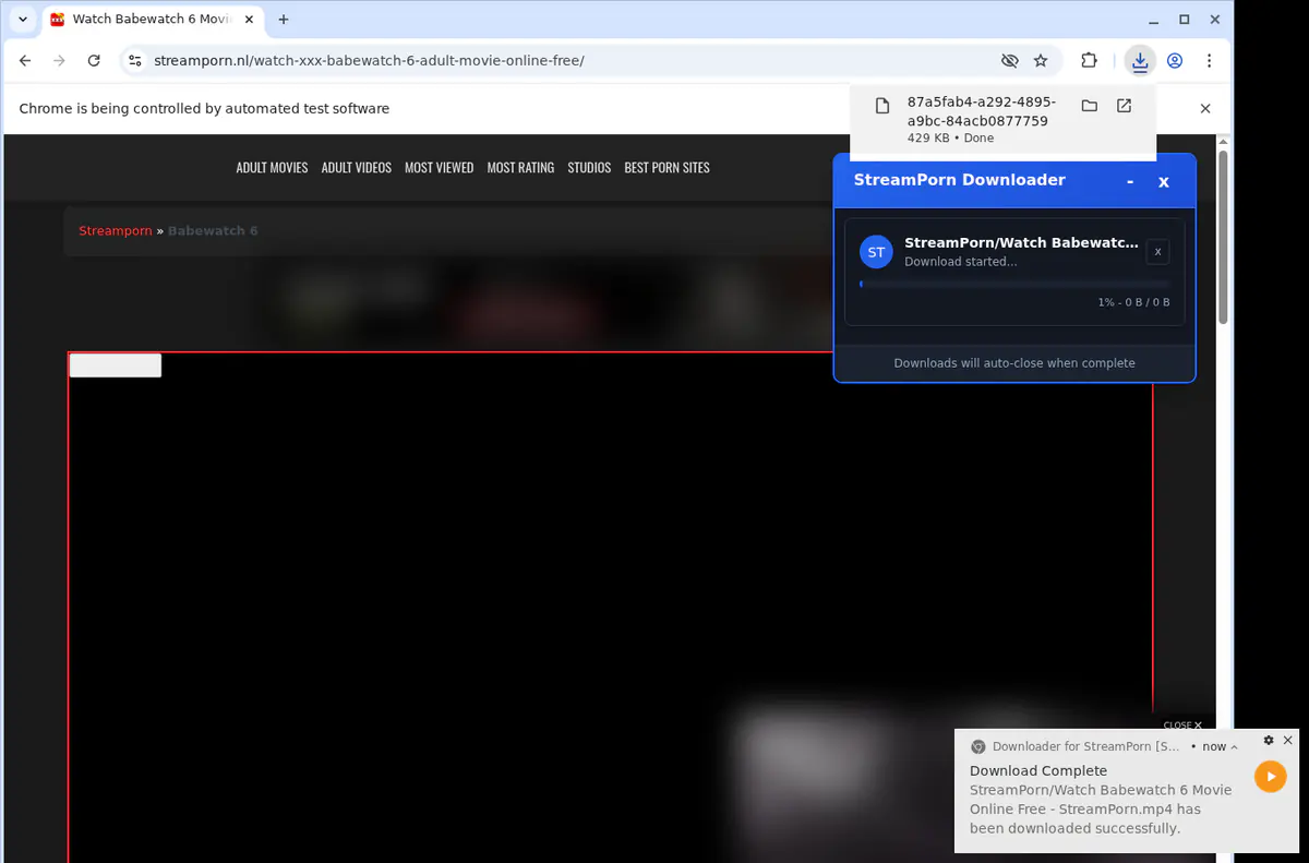 Streamporn Video Downloader browser extension screenshot 2