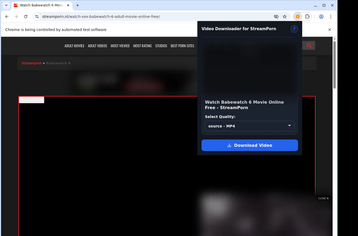 Streamporn Video Downloader browser extension screenshot 3