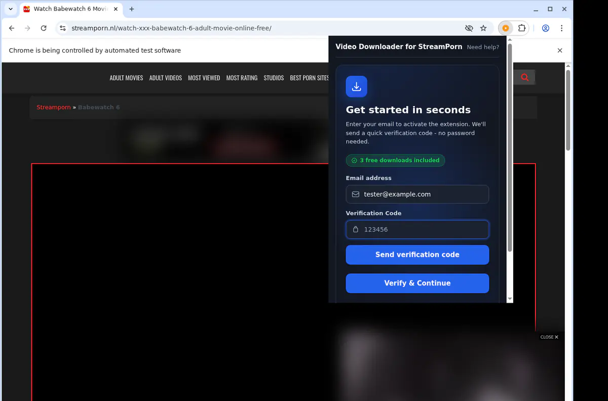 Streamporn Video Downloader browser extension screenshot 4
