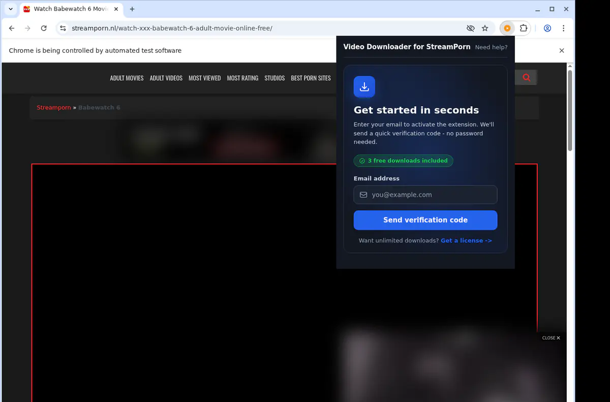 Streamporn Video Downloader browser extension screenshot 5
